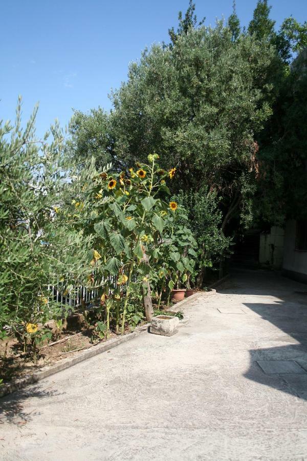 Sunflower Split Bagian luar foto